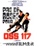 poster del film niente rose per oss 117