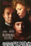 poster del film Burning Secret