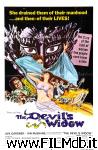 poster del film La viuda del diablo
