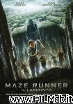 poster del film the maze runner