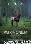 poster del film Patrimonium
