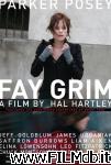 poster del film Fay Grim