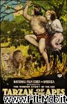 poster del film Tarzan chez les singes