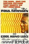 poster del film cool hand luke