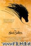 poster del film the black stallion