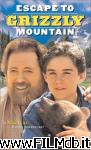 poster del film Ritorno a Grizzly Mountain