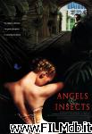 poster del film Angeli e insetti