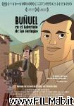 poster del film Buñuel - Nel labirinto delle tartarughe