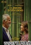 poster I limoni d'inverno poster del film I limoni d'inverno