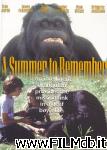 poster del film A Summer to Remember [filmTV]