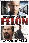 poster del film Criminal (Felon)