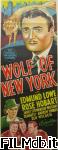poster del film wolf of new york