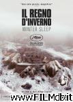 poster del film Il regno d'inverno - Winter Sleep
