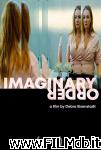 poster del film Imaginary Order