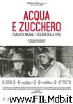 poster del film Acqua e zucchero: Carlo di Palma, i colori della vita