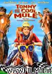 poster del film tommy and the cool mule