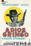 poster del film adios gringo