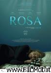 poster del film Rosa