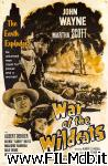 poster del film War of the Wildcats