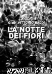 poster del film la notte dei fiori