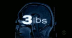 logo serie-tv 3 libbre (3 lbs)