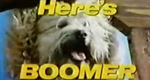 logo serie-tv Boomer cane intelligente (Here's Boomer)